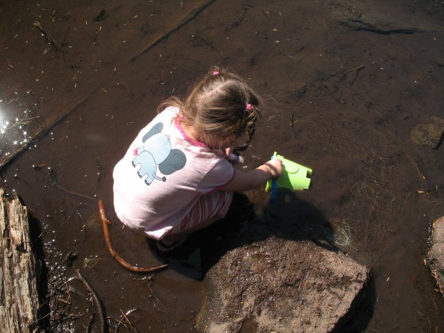 8.26-27.06 Twin Lakes & Palmateer Point 048 